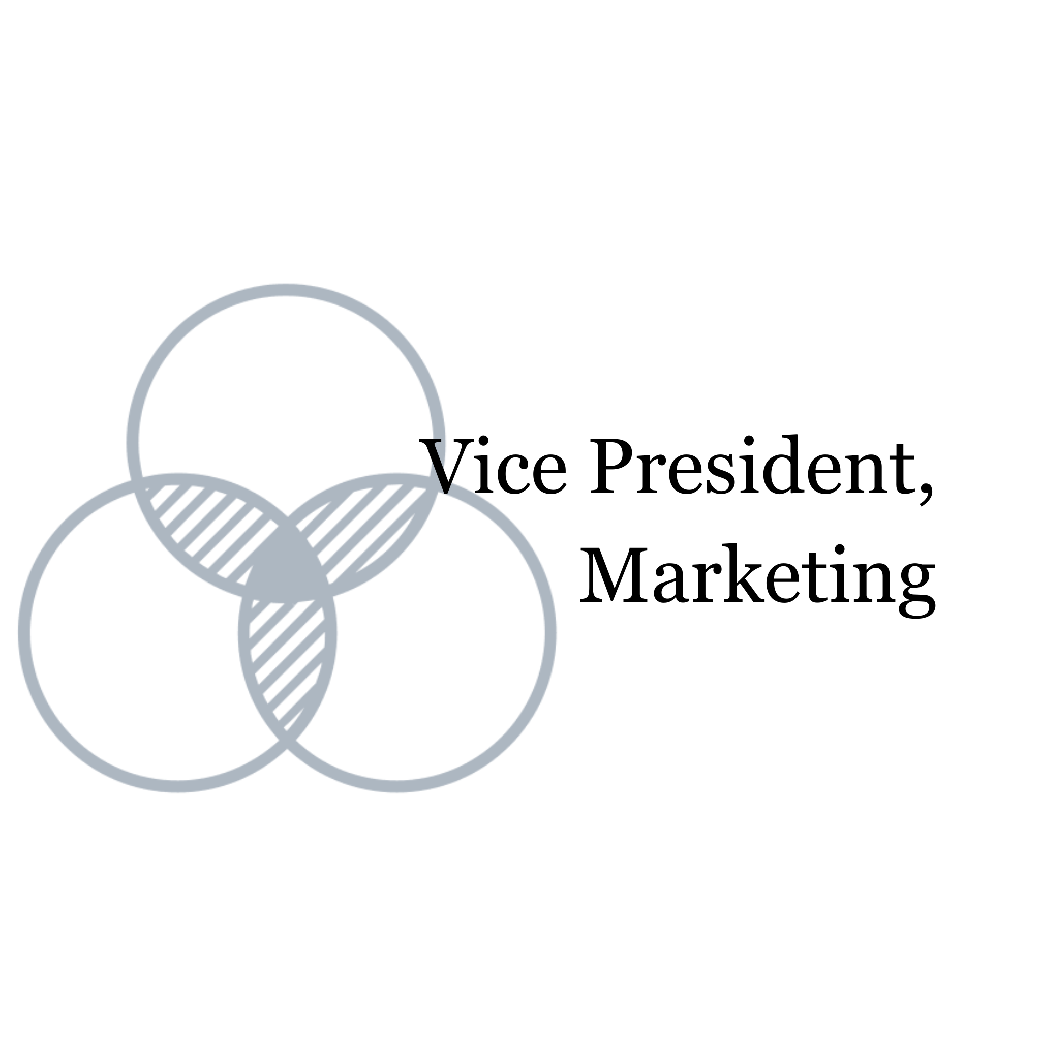 Vice President, Marketing